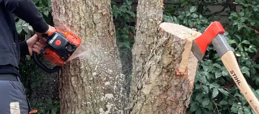 a person using a chainsaw to cut a tree